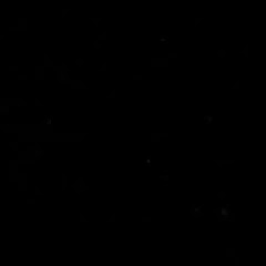 Batel Skater net worth