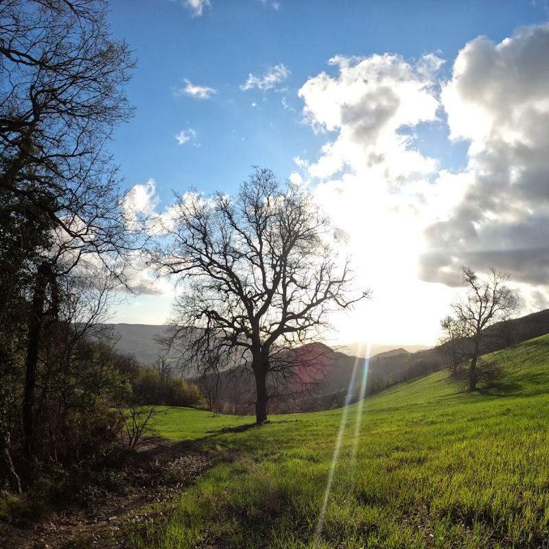 Wild Italy - Le meraviglie nascoste dell'Italia