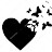 black Heart 🖤