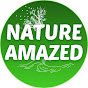 Nature Amazed logo