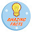 Amazingfacts