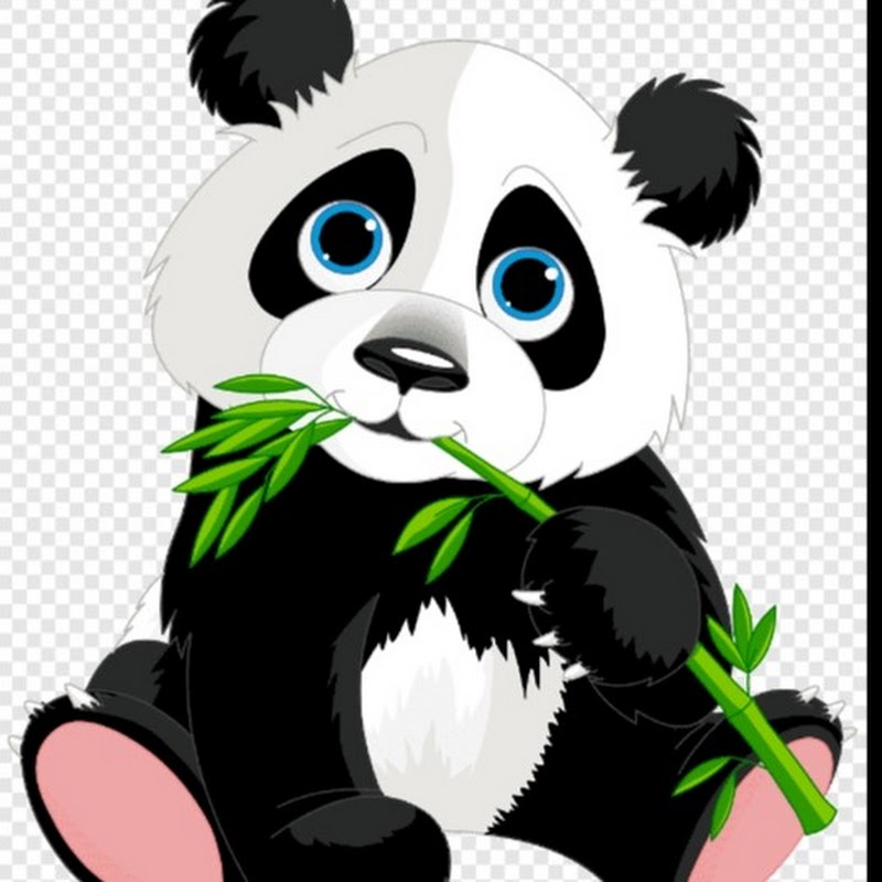 Panda shorts