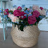 yFjIQ_dEit8-channel-avatar-봄빛가드닝 Spring Light Gardening