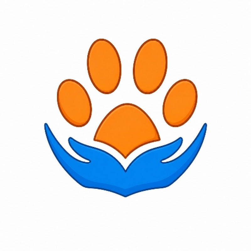 The animal adventure in हिन्दी