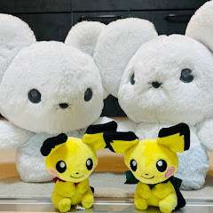 アユキのランクマ記録室(ダブルバトル)