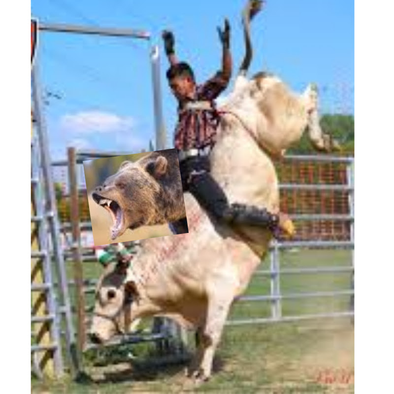 S&P 500 Vaquero
