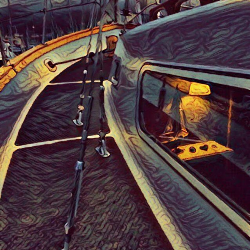 sailingmsmalachite1503