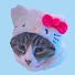vg0Cjd4ud14-channel-avatar-amy's digicam ૮ ´• ﻌ ´• ა