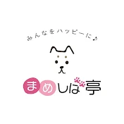 豆柴専門チャンネル「まめしば亭」