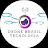 Drone Brazil Technology