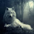 ebNiBtAw5zQ-channel-avatar-SEVERINOBRV