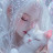 @FatmaEidAhmed