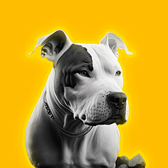 Channel thumbnail for the boy ROCKY!