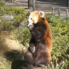 チャンネルうきよChannel Ukiyoの画像