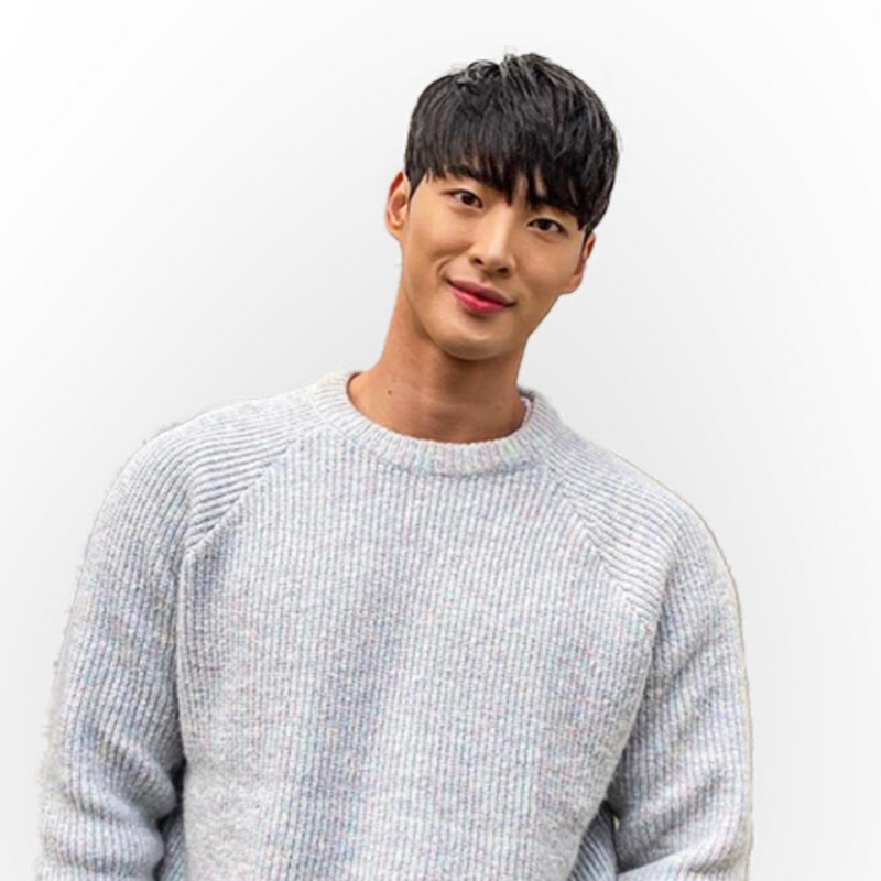장사꾼 안새로이