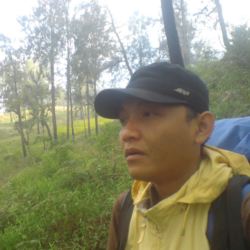 Dedi E