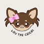 Lou the Chichi