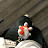 @feer_70073