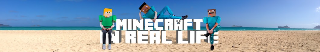 Minecraft In Real Life ইউটিউব চ্যানেল অ্যাভাটার