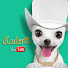 H08s908Sa8M-channel-avatar-J Carter Mt