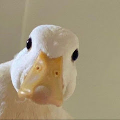 しょつえい