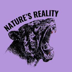 Nature’s Reality