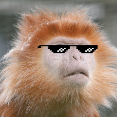 Dan Dingle