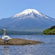 歩く散歩ch【Walker】