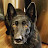 @watchingvideos4309 Avatar