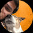 @PallabandTiger's avatar