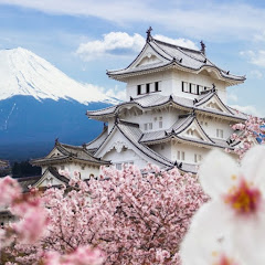 毎日衝撃的なニュース