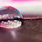 @bayansameh4110 Avatar