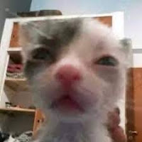 Cinchwell profile image