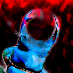 採集狂人しゃけアイコン画像