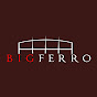 Big Ferro limited  logo