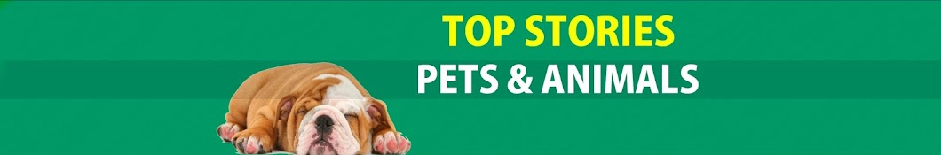 TOP ANIMALS STORIES YouTube-Kanal-Avatar