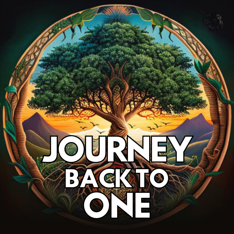 Journey Back to One