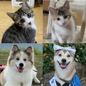 むぎタナとりんすず