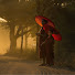 RcrW1HX_EXs-channel-avatar-History of Buddha