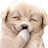 sinisterpuppy