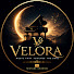 XJpifV6EF-M-channel-avatar-VeLoRa