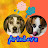 @arinlovewithdoggies3162