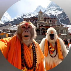 @monkeyvlog