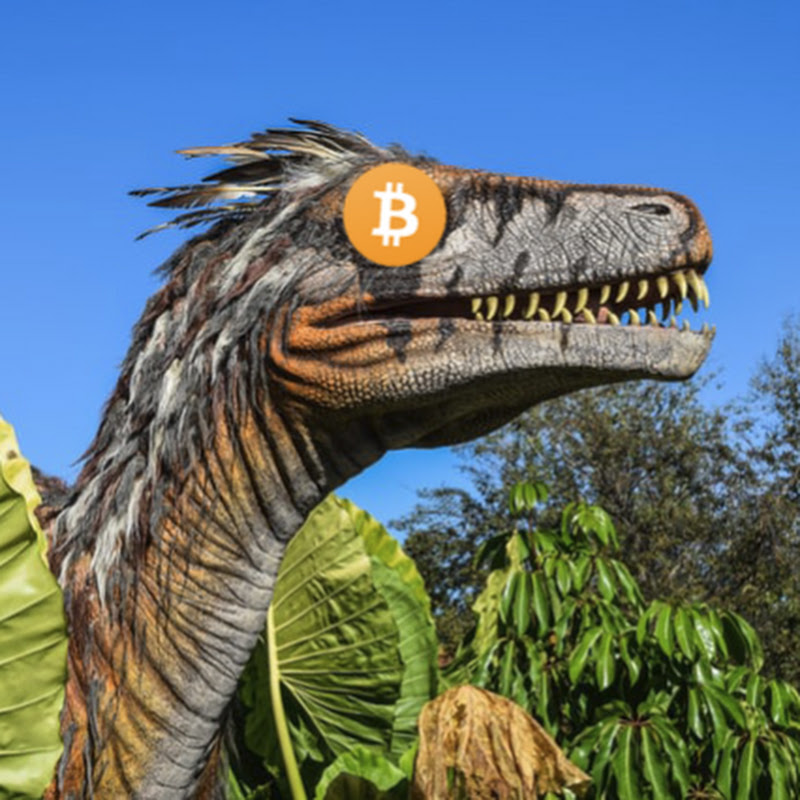CoinRaptor