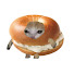 DkSpgzewvu0-channel-avatar-Bagel Cat