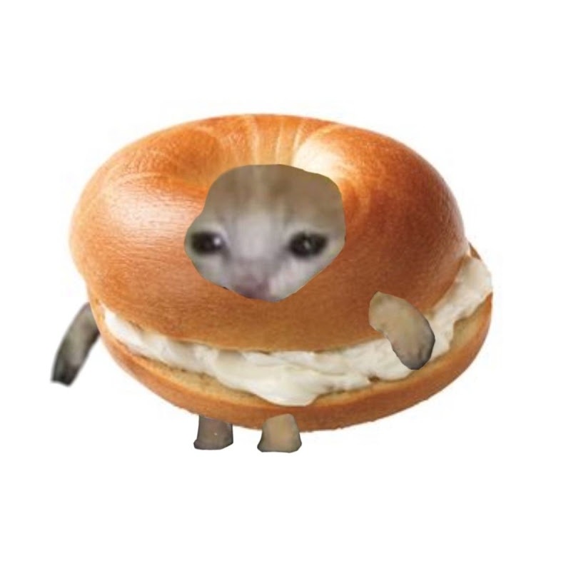 Bagel Cat