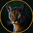 nzHN5O79OJQ-channel-avatar-Field & Fang