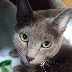 hana自動演奏ピアノ