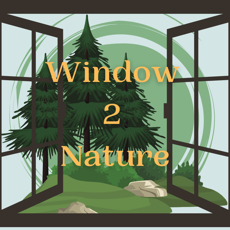 Window2Nature