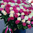 @rehabmakram8691